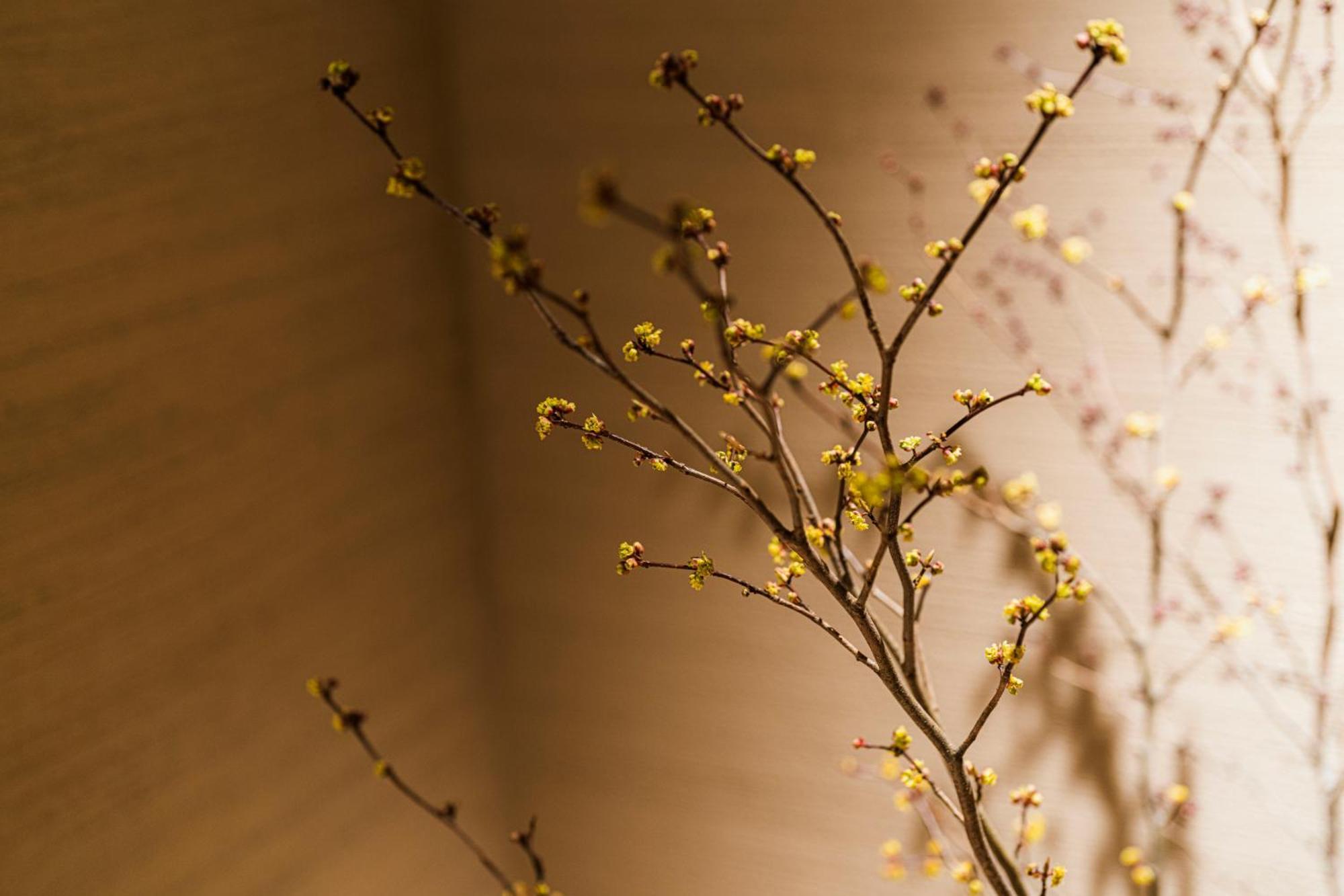 Shinzan Kinosaki Hotel Toyooka  Ngoại thất bức ảnh